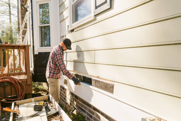 Top rated local Emergency Siding Repair specialists in Blaine, MN